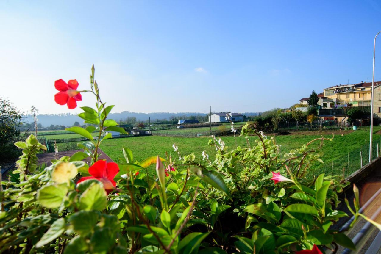 Le Vigne Sull'Adda Bed & Breakfast Bottanuco Exterior photo